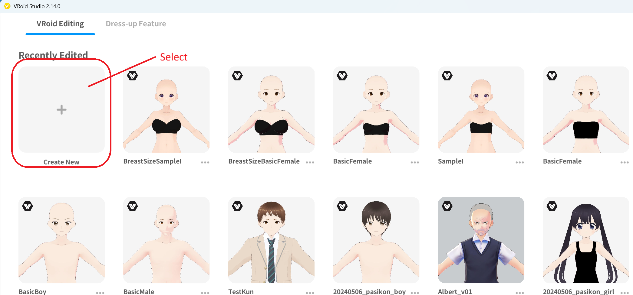 Select Create New