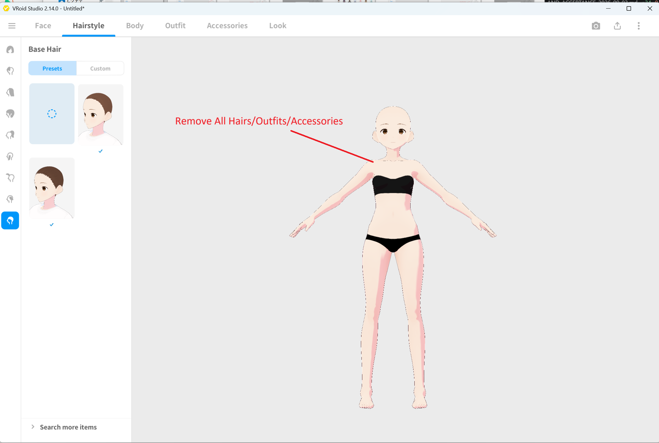 State with all hair, outfits, and accessories removed